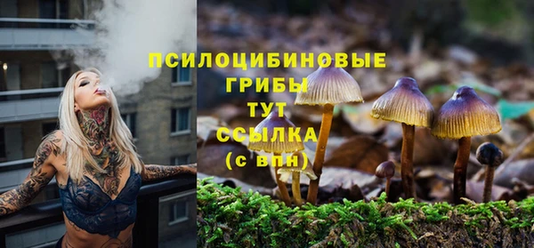 jwh Аркадак