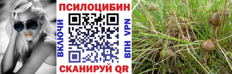 блэк спрут ТОР  Снежногорск  Псилоцибиновые грибы Magic Shrooms 